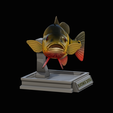 peacock-bass-trophy-1-1-7.png Peacock bass (Cichla ocellaris) fish in motion trophy statue for 3d printing