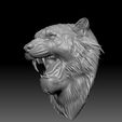 ZGrab09.jpg roaring tiger head