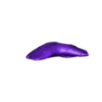 megalodon tooth 2.stl PACOTE 3 DENTE DE TUBARÃO MEGALODON - DIGITALIZAÇÃO 3D
