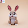 02.jpg Flexi rabbit