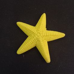 Estrella-de-mar.jpg Fichier STL Étoile de mer・Plan imprimable en 3D à télécharger, Vortice