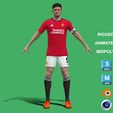 v1.jpg 3D Rigged Harry Maguire Manchester United 2024