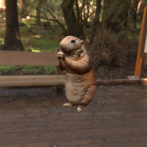 Hamster 3D model preview