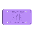 GYM.stl PLATEZ