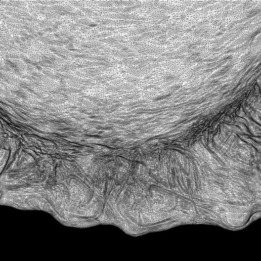 08.jpg OVOMORPHE D'ŒUF EXTRATERRESTRE IMPRIMABLE EN 3D 1979 3 VARIANTES