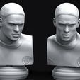 Preview_8.jpg Erling Haaland 3D Printable Bust