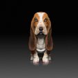 HushPuppy_Seat_02.jpg BASSET HOUND (sitting pose)-STL & VRML Color Format - HUSH PUPPY - DOG BREED - sitting pose - 3D PRINT MODEL