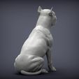 American-Staffordshire-Terrier5.jpg American Staffordshire Terrier 3D print model