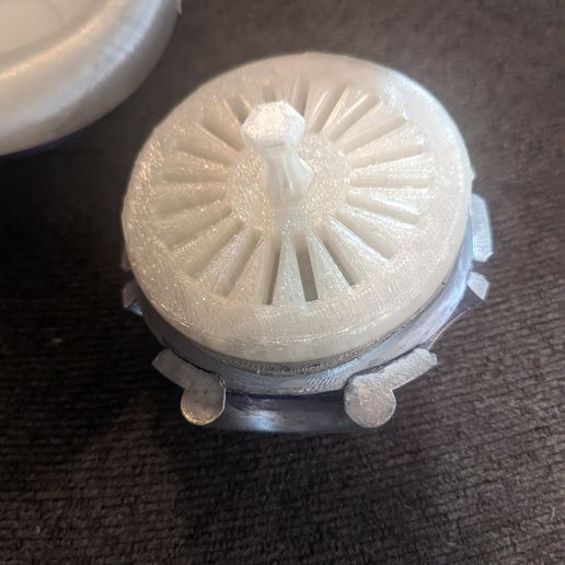 Контейнер из черепашьего панциря