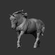 Percheron-running9.jpg Percheron läuft 3D-Druckmodell