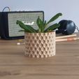 IMG_20240217_152322-EDIT.jpg Blumentopf04