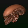 30.jpg Xenomorph Alien biomechanical head