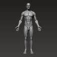 1.png Anatomically correct muscular male body Low and High Poly Low-poly 3D model