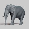 R02.jpg elephant pose 03