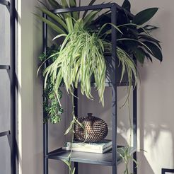 popular-houseplants-indoor-jungle-shelved-shelf-unit-with-planter-box-65c3f92bc5c95.jpg vase Deco
