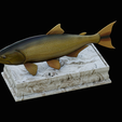 golden-dorado-statue-box-1-17.png fish golden dorado / Salminus brasiliensis with storage space / for 3d printing