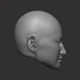 z4531751741737_58676e7c0764b5ec1422d4922e73d392.jpg Crystal Liu Yifei HEAD 3D STL FOR PRINT 3D print model