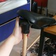 20220618_180942.jpg Walking Stick with Pica Tinny