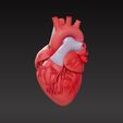 heart3.jpg heart