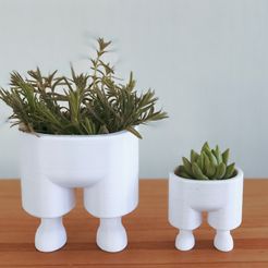 L01.jpg Free STL file Leggy Planter / 3D printed planter・Object to download and to 3D print