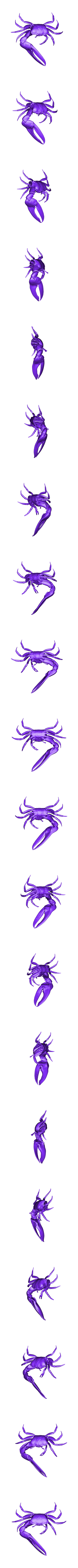 Fiddler_Crab.obj Free OBJ file Fiddler Crab・Template to download and 3D print, ThreeDScans