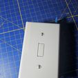 20240210_094146.jpg Switch Plate Cover Blank