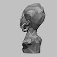 10.jpg african low poly modern female bust 3D print model