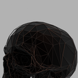 untitled2.png Skull lowpoly VN