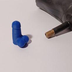 20230126_183720.jpg Penis valve plug (schrader valve)