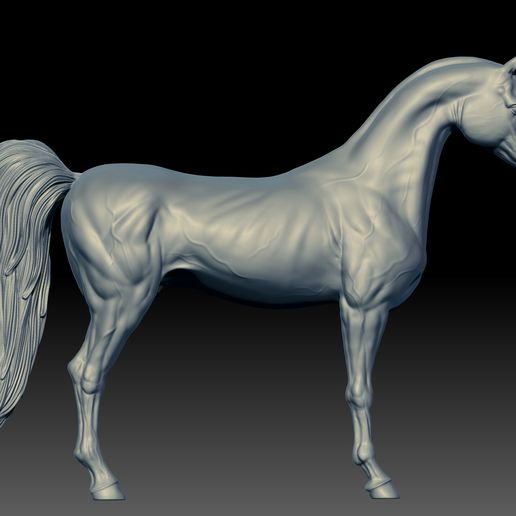 06.jpg Arabian Horse