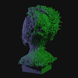 vid0185.png Alien Insectoid Bust