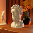 frth.png Bust of Marcus Aurelius