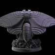 3.jpg Gloomwing Moth
