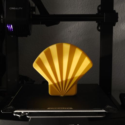 1756564616630.jpg S(t)y Shell