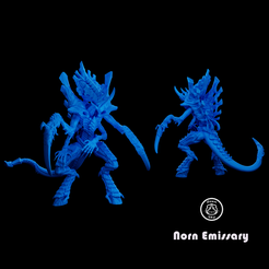 cover-norn.png STL file Tyranids Norn Emissary・3D printer design to download