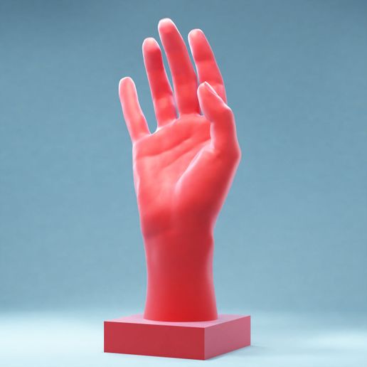 Hand 1: Relaxed 3D model