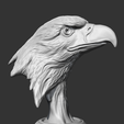01.png Bald Eagle Head AM07 3D print model