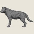 Wild-Hyena-04.jpg Wild Hyena Print Ready 3D Model