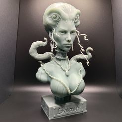 255ED735-63FA-4D00-B050-F77ACC39254B.jpeg 3D file Lady Lovecraft・3D print model to download