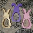 Easter-Bunny-Egg-Holder-Pic2.jpg Easter Bunny Rabbit Chick Plastic Egg Holder 3D STL