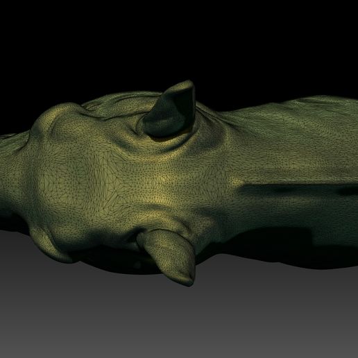 wireframe-Horse-head-top.jpg horse's head