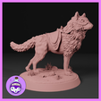 Untitled-Instagram-Post-Square-5.png Dire Wolf Steeds Pack