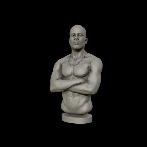 18.jpg DMX second model 3D print model