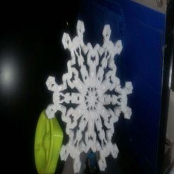 20191207_003253.jpg NOISY SNOWFLAKE