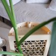 DSC01879-2.jpeg CLIMBIT HoneyComb — модульная система для выращивания мха на опорах с автополиванием (без опор, с возможностью штабелирования)