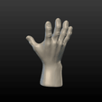 Hand-01.png Hand