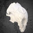 Image02.jpg FERAL PREDATOR skull helmet from the movie Prey