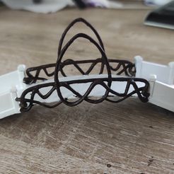 IMG_20221013_145821.jpg Elven bridge