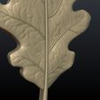 Oak_Leaf-06.jpg Oak Leaf