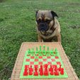 picture-(1).jpg Garden Chess Set